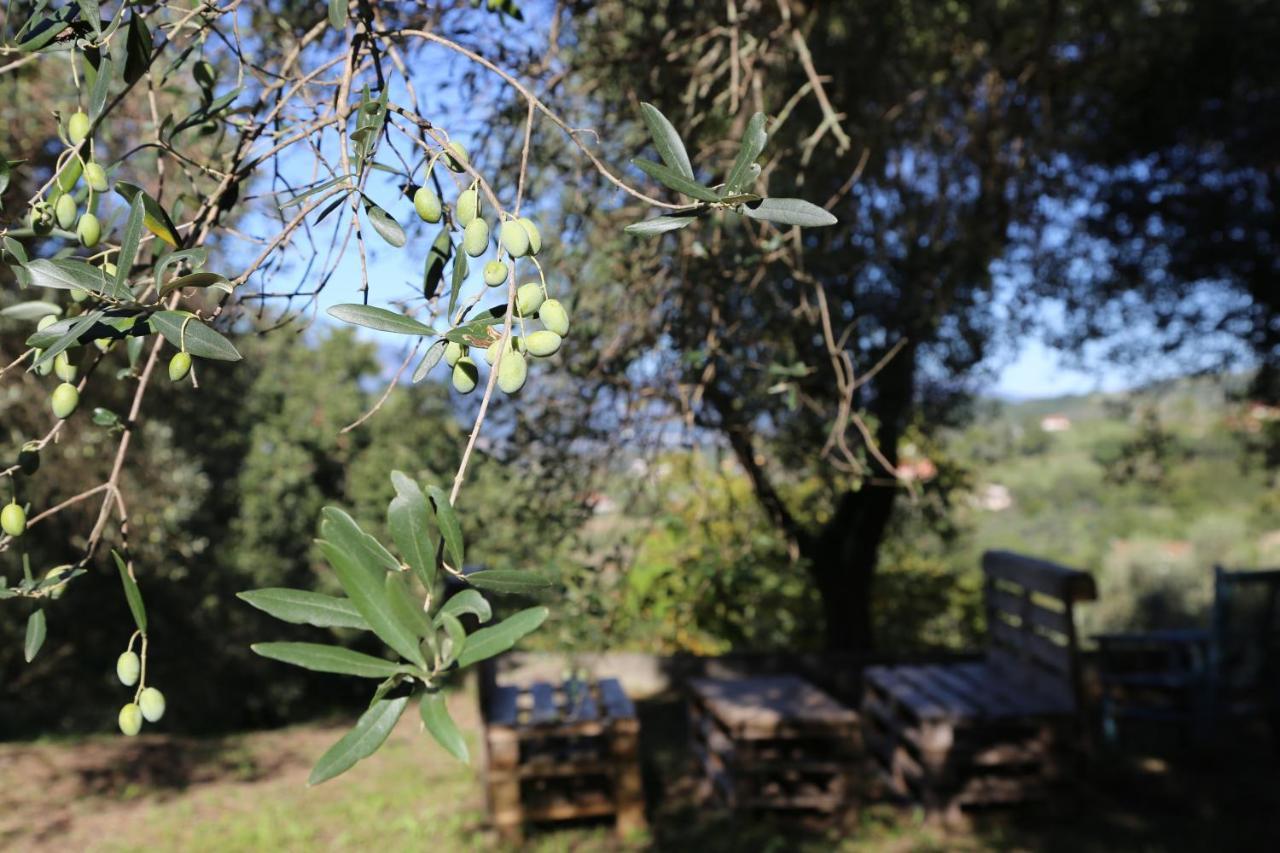 La Masseria Pietramarmo Caiazzo - App To Con Vista Exterior foto