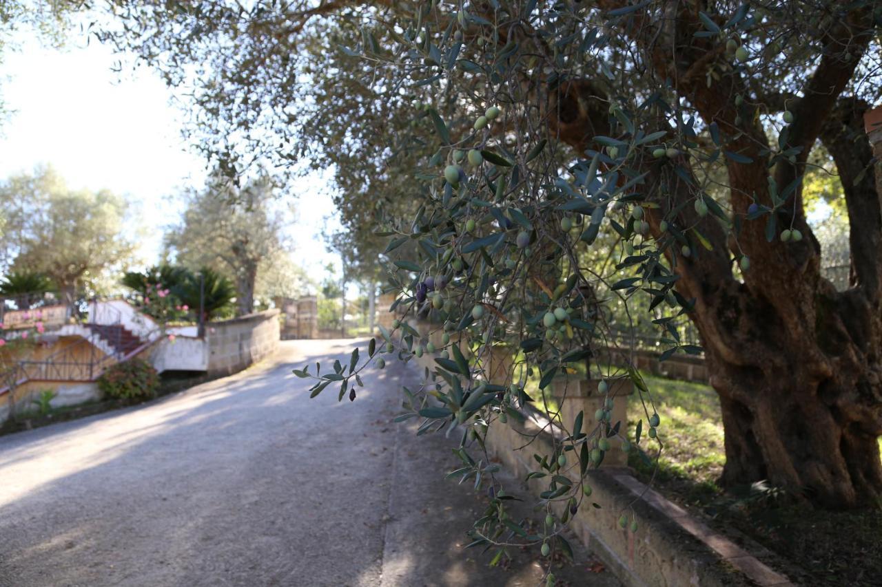 La Masseria Pietramarmo Caiazzo - App To Con Vista Exterior foto